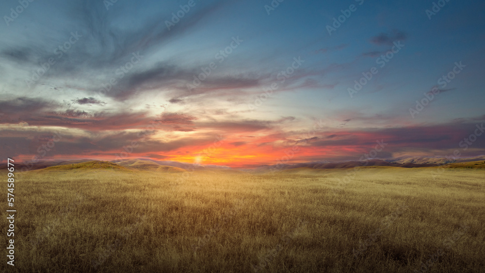 Meadow field Meadow field