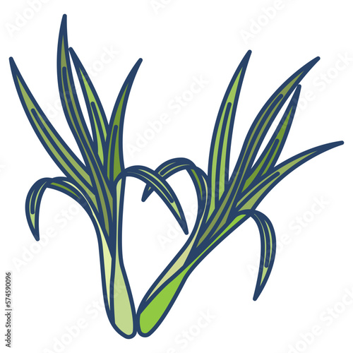 Lemon grass icon