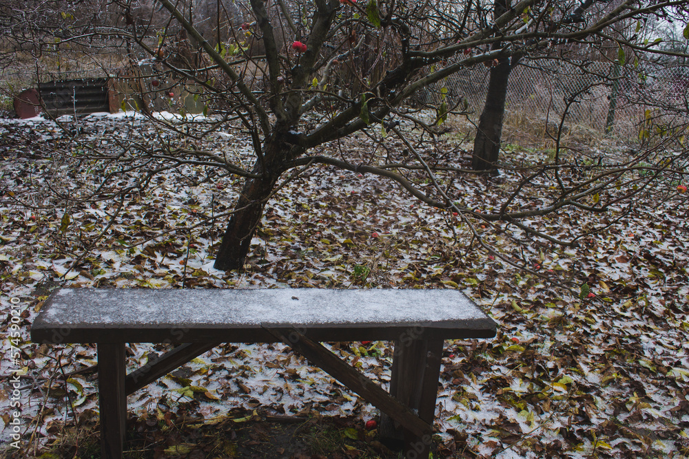 fallen leaves in the garden covered with ice bench fallen leaves in the garden covered with ice bench