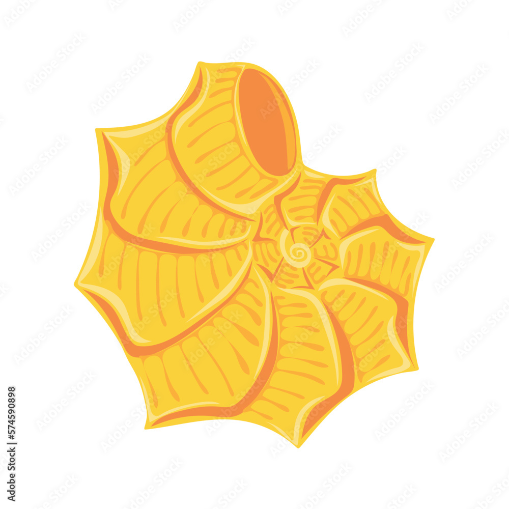 Fototapeta premium Hand drawn seashell. Shellfish. Marine dwellers. Concept of sea and ocean life. Vector illustration