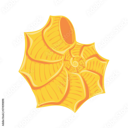 Hand drawn seashell. Shellfish. Marine dwellers. Concept of sea and ocean life. Vector illustration