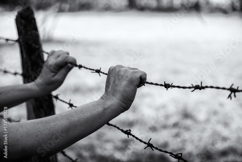 Stampa su tela Hands on a barbed wire