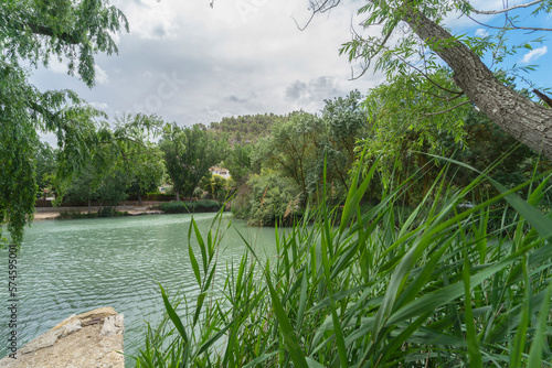 Landscape of plants and water in the recreational area of Alcala del Jucar, province of Albacete. Spain.