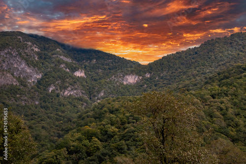 Mountains and forests of Abkhazia.