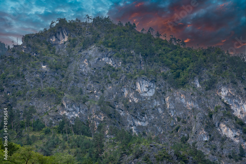 Mountains and forests of Abkhazia.