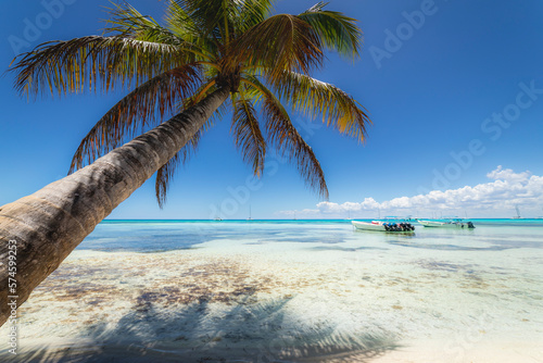 Fototapeta Naklejka Na Ścianę i Meble -  Boats and tropical beach in caribbean sea, Saona island, Dominican Republic