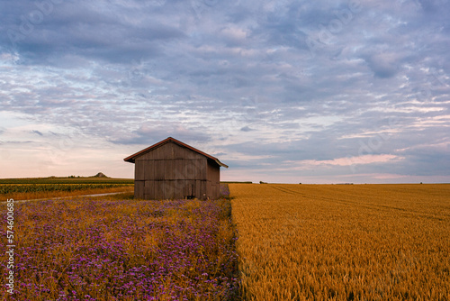 Feldscheune