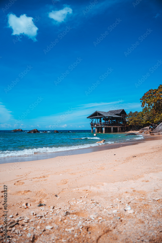 Fototapeta premium Playa