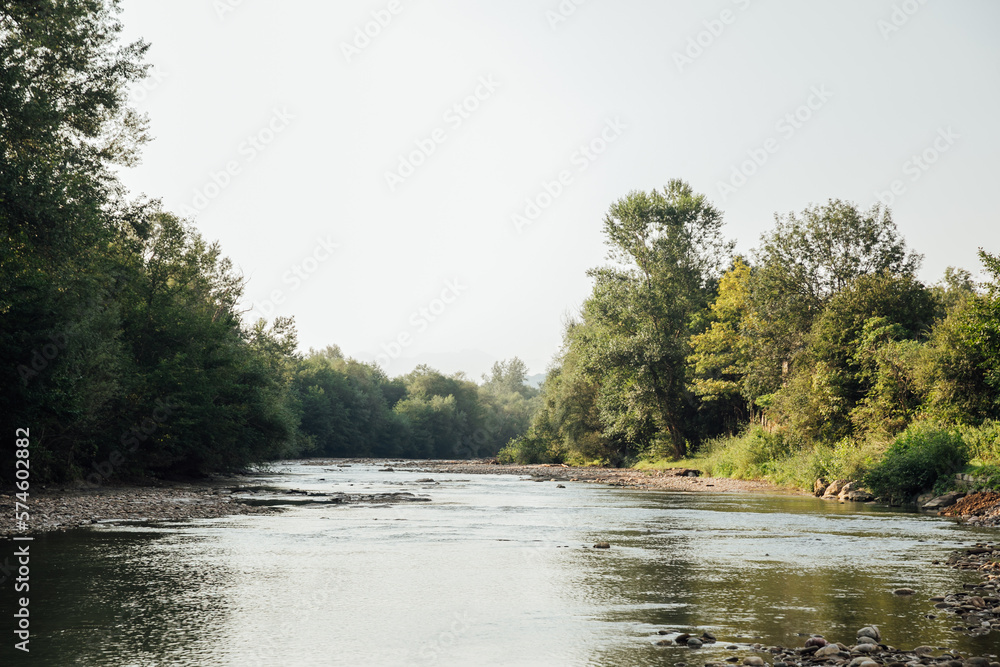big river between green trees in the forest hike travel big river between green trees in the forest hike travel