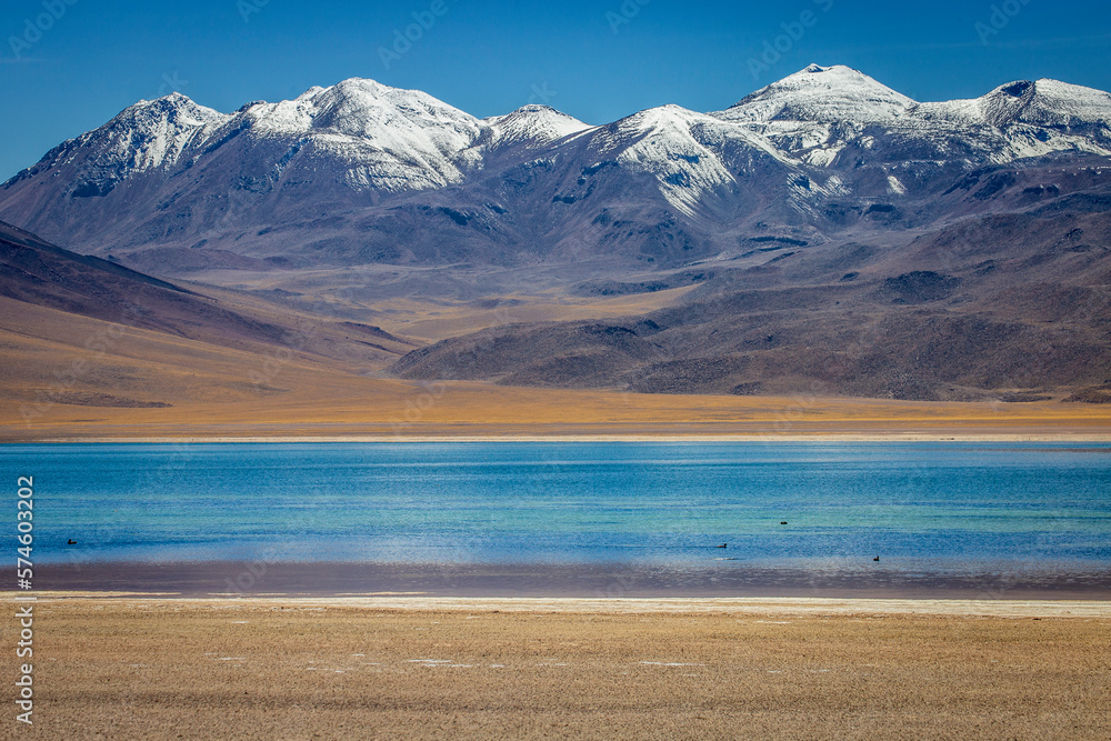 Salt lake, turquoise Laguna Miscanti, volcanic landscape at sunrise, Atacama