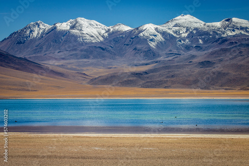 Obraz na płótnie Salt lake, turquoise Laguna Miscanti, volcanic landscape at sunrise, Atacama w salonie
