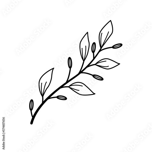 Hand drawn sketch flower isolated on white background. Simple doodle style.