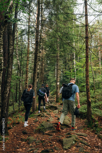 A group of young people of tourists in the casual of clothes stroll through the mountains through the forest. Hike with friends in the mountains.