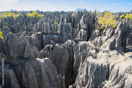 Tsingy de Bemaraha National Park. The Great Tsingy, Bekopaka, Madagascar. View of the limestone sharp rocks.  photo