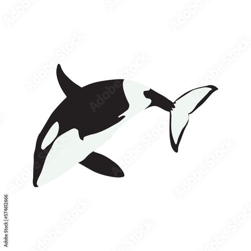 Orca whales. Sea animal killer whales. Marine animal in Scandinavian style.