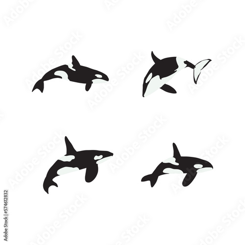 Orca whales. Sea animal killer whales. Marine animal in Scandinavian style.