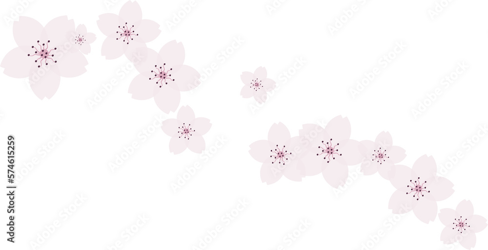 Beautiful pink Sakura Cherry Blossom illustration.