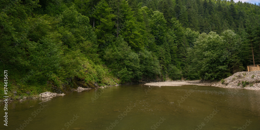 nature landscape with shallow river. trees on the shore
