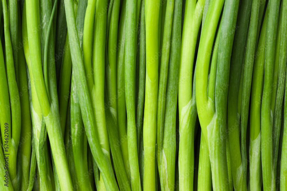 Fresh green spring onions as background, top view Fresh green spring onions as background, top view