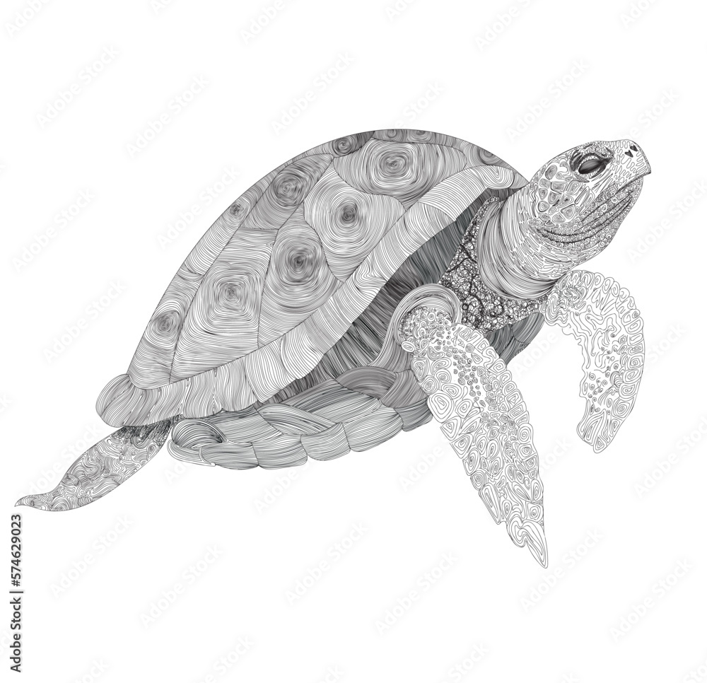 Obraz premium linear freehand drawing of a sea turtle, the author's unique illustration with a black pen