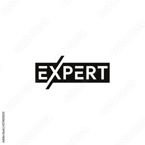 Vector expert typography logo template design vector