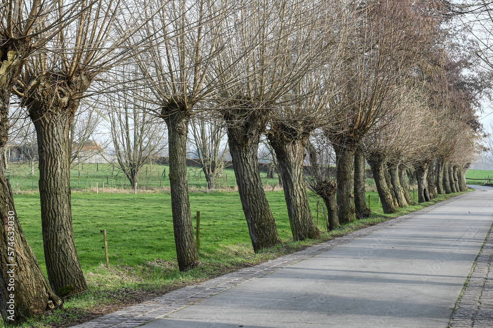 Obraz premium Belgique Belgie Flandres Flanders Lovendegem moulin molen Gent Ghent Molendam