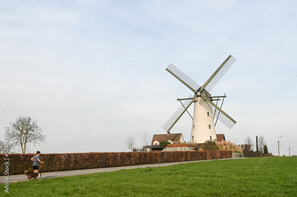 Belgique Belgie Flandres Flanders Lovendegem moulin molen Gent Ghent moulin a vent promenade sport chien Belgique Belgie Flandres Flanders Lovendegem moulin molen Gent Ghent moulin a vent promenade sport chien
