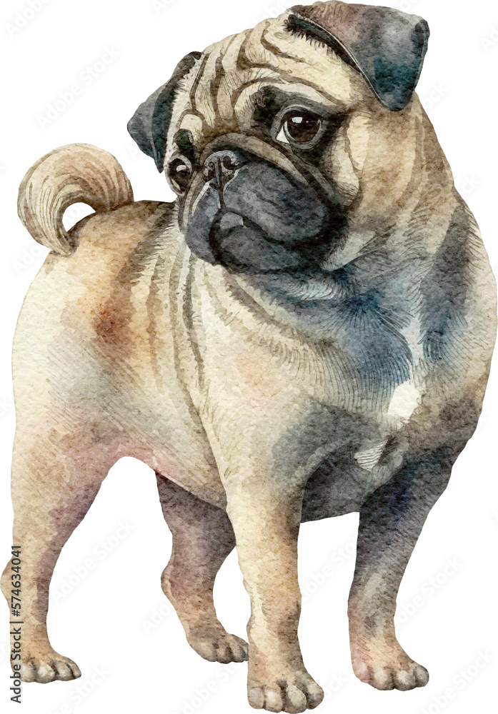Obraz premium Cute pug dog created with Generative AI technology