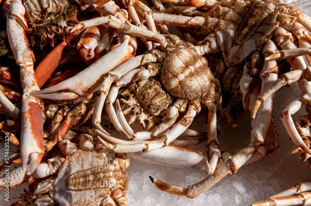 fresh crabs on fish market fresh crabs on fish market