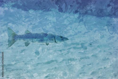 Digitally created watercolor painting of a large Great Barracuda hunting over the coral reef in the Cayman Islands © Focused Adventures