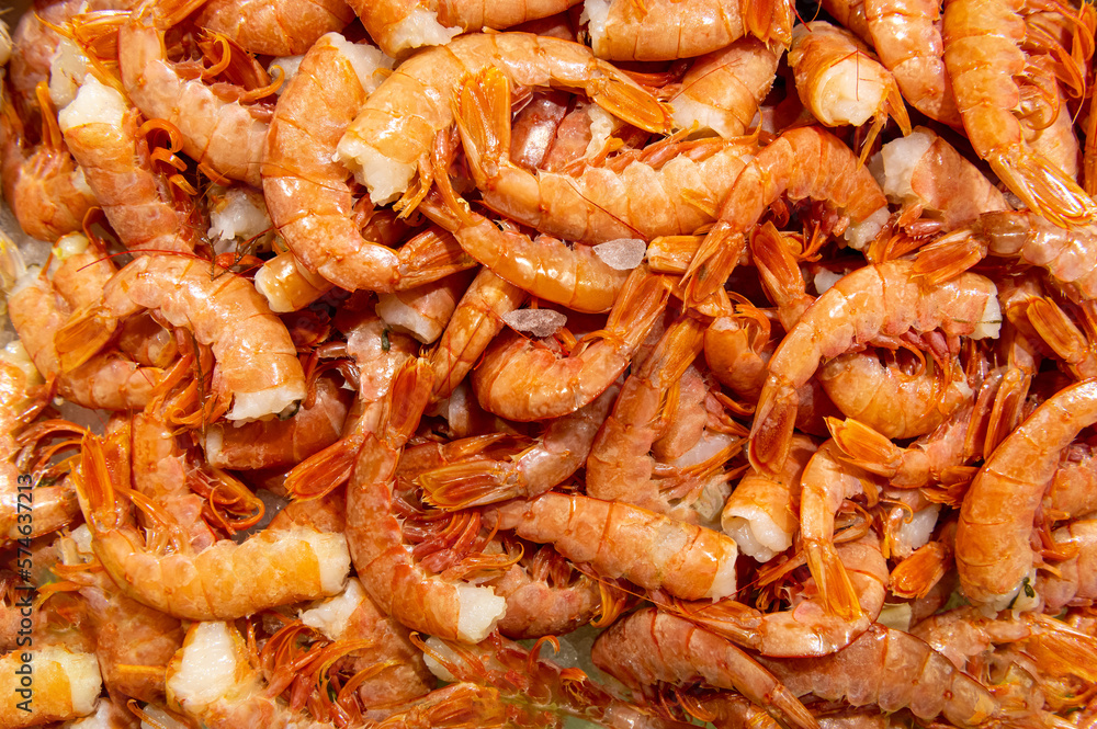fresh orange shrimps on fish market fresh orange shrimps on fish market