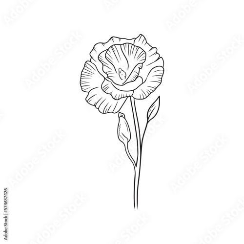 Beautiful realistic opened Eustoma flower branch with bud and leaves isolated on white background. Hand drawn vector sketch illustration in doodle engraved outline line art style. Floristics.