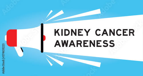 Color megaphone icon with word kidney cancer awareness in white banner on blue background