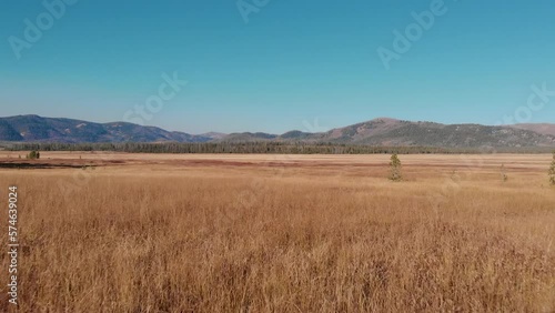 4K Drone fly over open country field in the Sawtooth Mountains, Stanley Idaho. photo