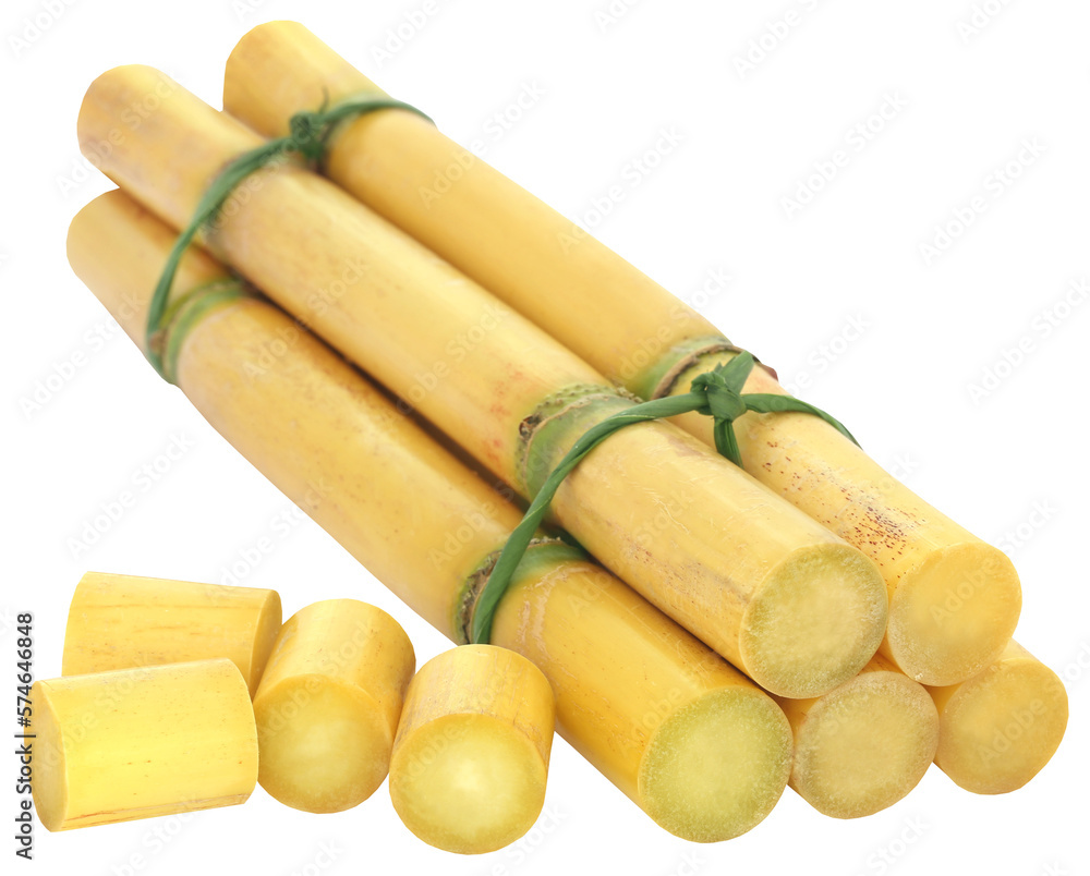 Piece of sugarcane Piece of sugarcane