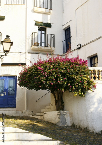 Le centre historique de la ville de Cadaqués, située dans la région de Catalogne en Espagne, est un labyrinthe de ruelles pavées et d'habitations blanches aux volets et portes bleues