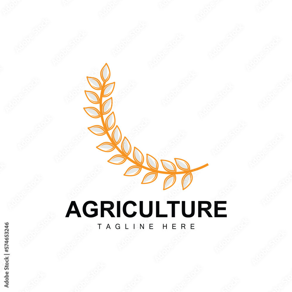 Rice Logo, Agriculture Design, Vector Wheat Rice Icon Template Illustration Rice Logo, Agriculture Design, Vector Wheat Rice Icon Template Illustration
