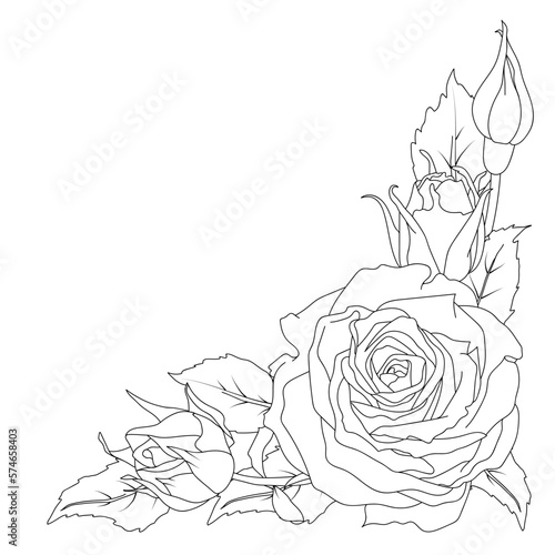 Corner composition of rose buds and leaves vector illustration in line art style. Hand drawn outline flowers. Black and white drawing. For the design of stickers, stationery, greeting cards, coloring