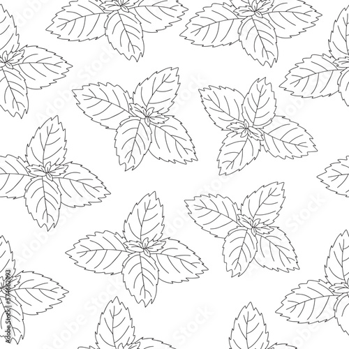 Seamless pattern of mint leaf icon. Isolated illustration of a mint leaf icon in linear style on a white background.