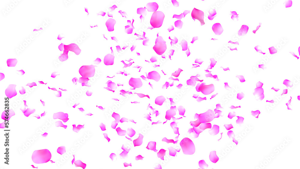 Pink rose petals on a transparent background, in png format. 3D render . Effect for valentine's day and 8 March. Pink rose petals on a transparent background, in png format. 3D render . Effect for valentine's day and 8 March.