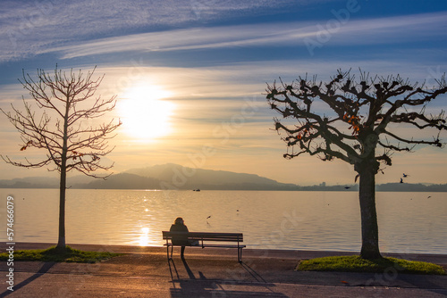 Beautiful autumn sunset on the promenade of Lake Zug, silhouettes of trees along the shore and a bench where a passer-by is resting