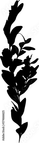 Ligustrum vulgare branch silhouette, imprint, stamp. PNG.