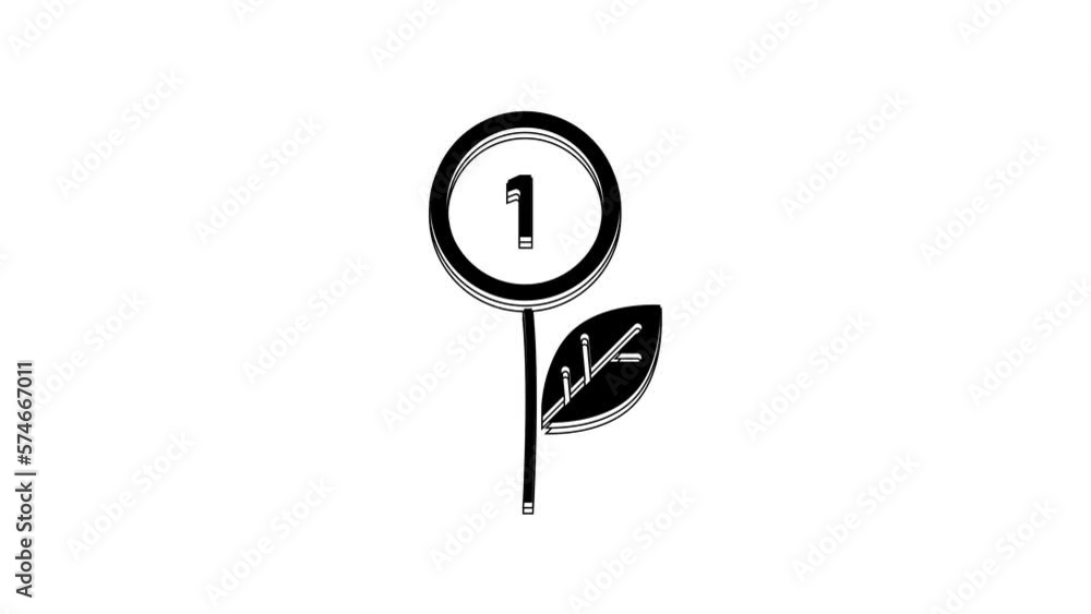 Black Dollar plant icon isolated on white background. Business investment growth concept. Money savings and investment. 4K Video motion graphic animation Black Dollar plant icon isolated on white background. Business investment growth concept. Money savings and investment. 4K Video motion graphic animation