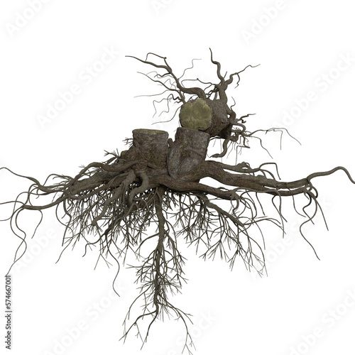 Fototapeta Naklejka Na Ścianę i Meble -  3d rendering old dead tree stump and roots isolated