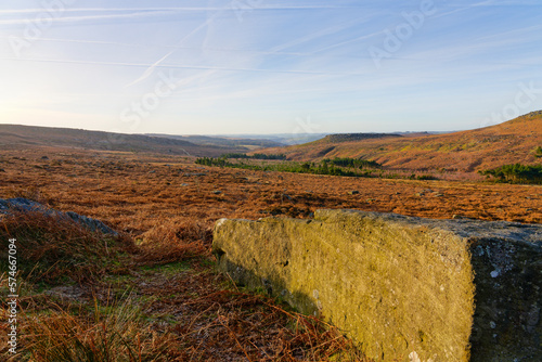 Beside a gritstone boulder on the slopes of Burbage Valley photo