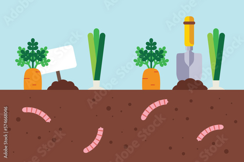 Vegetables in garden and worms working in garden soil. Flat design vector illustration. 