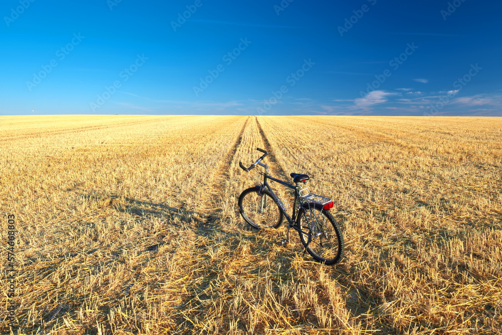 grain harvest, grain harvest, traces of a cornfield, cornfield, wheat flour, rye flour, grain, corn, flour, bread, cornfield, wheat, grain, wheat, grain harvest, grain harvest, traces of a cornfield, cornfield, wheat flour, rye flour, grain, corn, flour, bread, cornfield, wheat, grain, wheat,