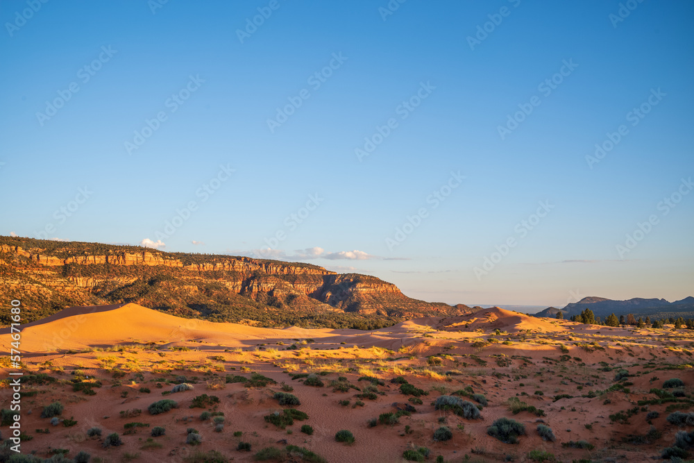 Fototapeta premium utah state park, coral pink sand dunes
