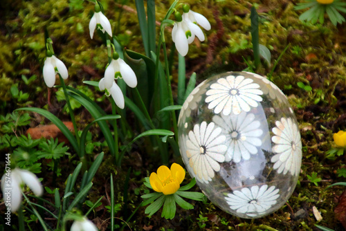 osterei im garten mit schneeglöckchen