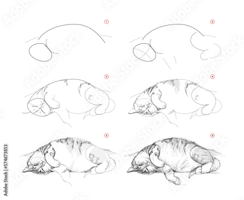 Page shows how to learn to draw sketch of cute sleeping cat. Pencil drawing lessons. Educational page for artists. Textbook for developing artistic skills. Online education. Vector illustration